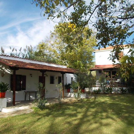 Villa Mina بوتيستيكا المظهر الخارجي الصورة