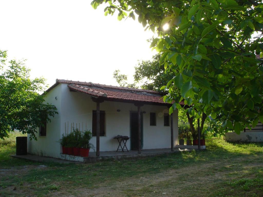 Villa Mina بوتيستيكا المظهر الخارجي الصورة